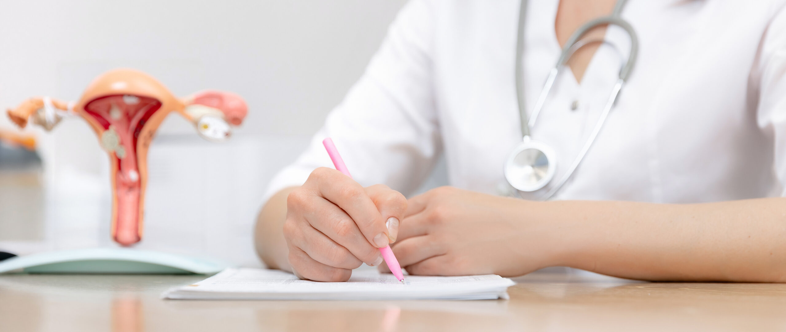 Gynecologist doctor work with patient in medical institution, model of female reproductive system, banner.